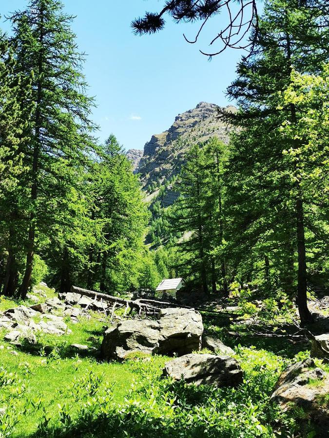 Les Marmottes D Estenc المظهر الخارجي الصورة